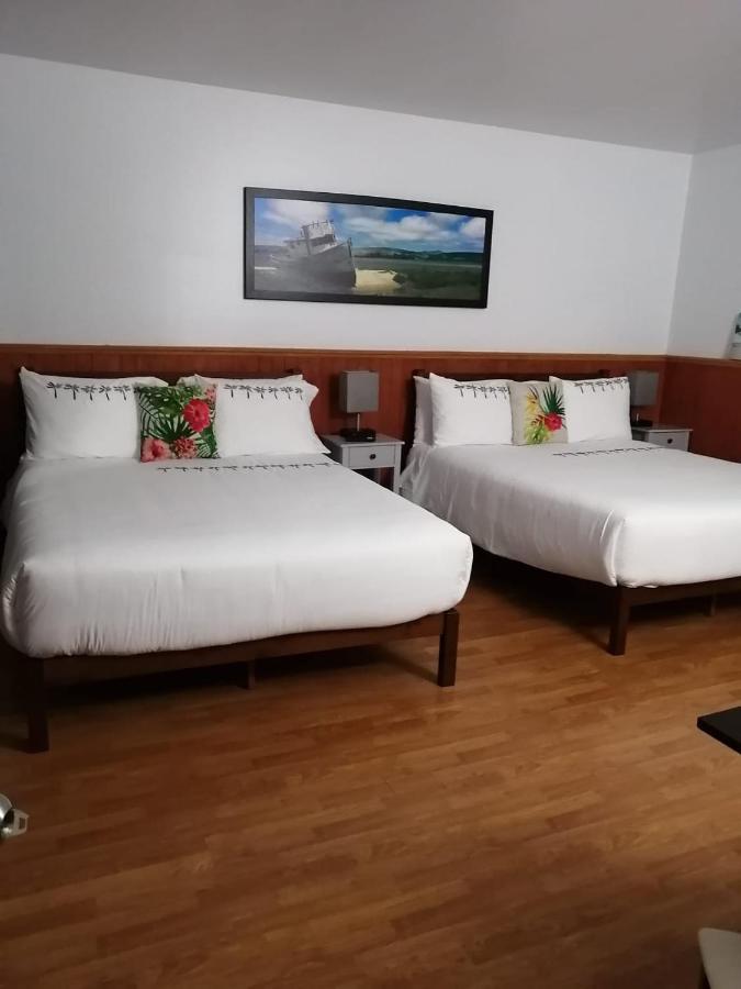 Hotel Fleurs Karaibes Saint-Alexandre-de-Kamouraska Екстериор снимка