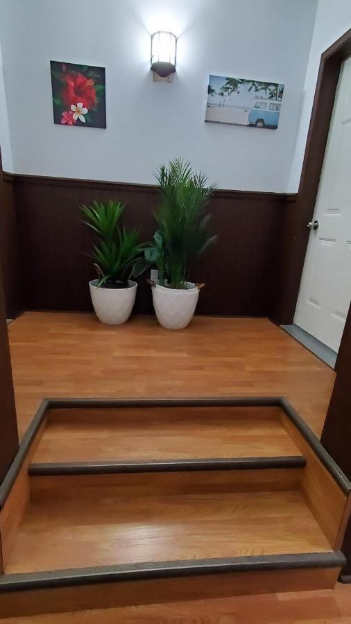 Hotel Fleurs Karaibes Saint-Alexandre-de-Kamouraska Екстериор снимка